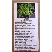 6 Degrees East Heirloom Herb Seeds - Cress - Garden Cress